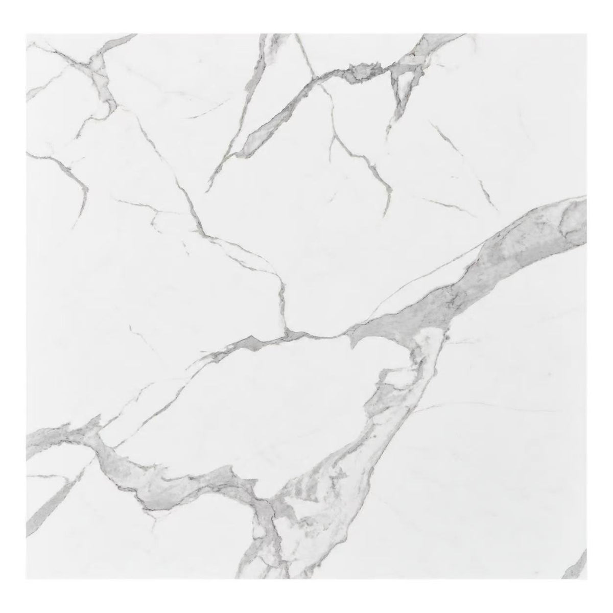 Tile BPCK6009 -24"x24"/Price per SF