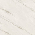 Tile-CB6Y019PA - 24"x24"/Price per SF