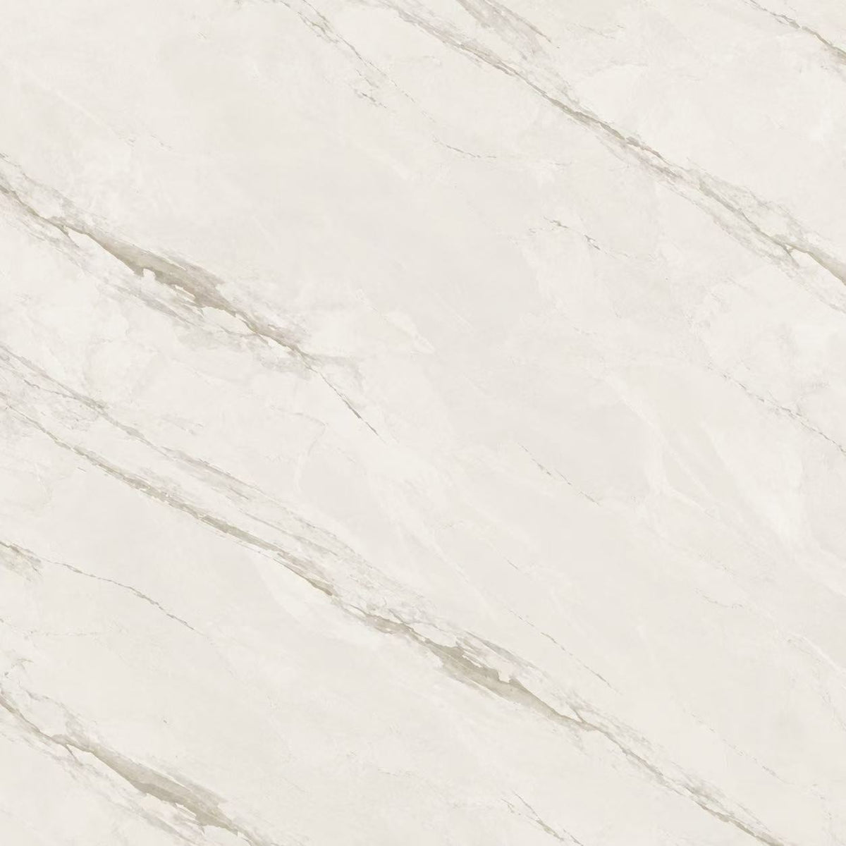 Tile-CB6Y019PA - 24"x24"/Price per SF