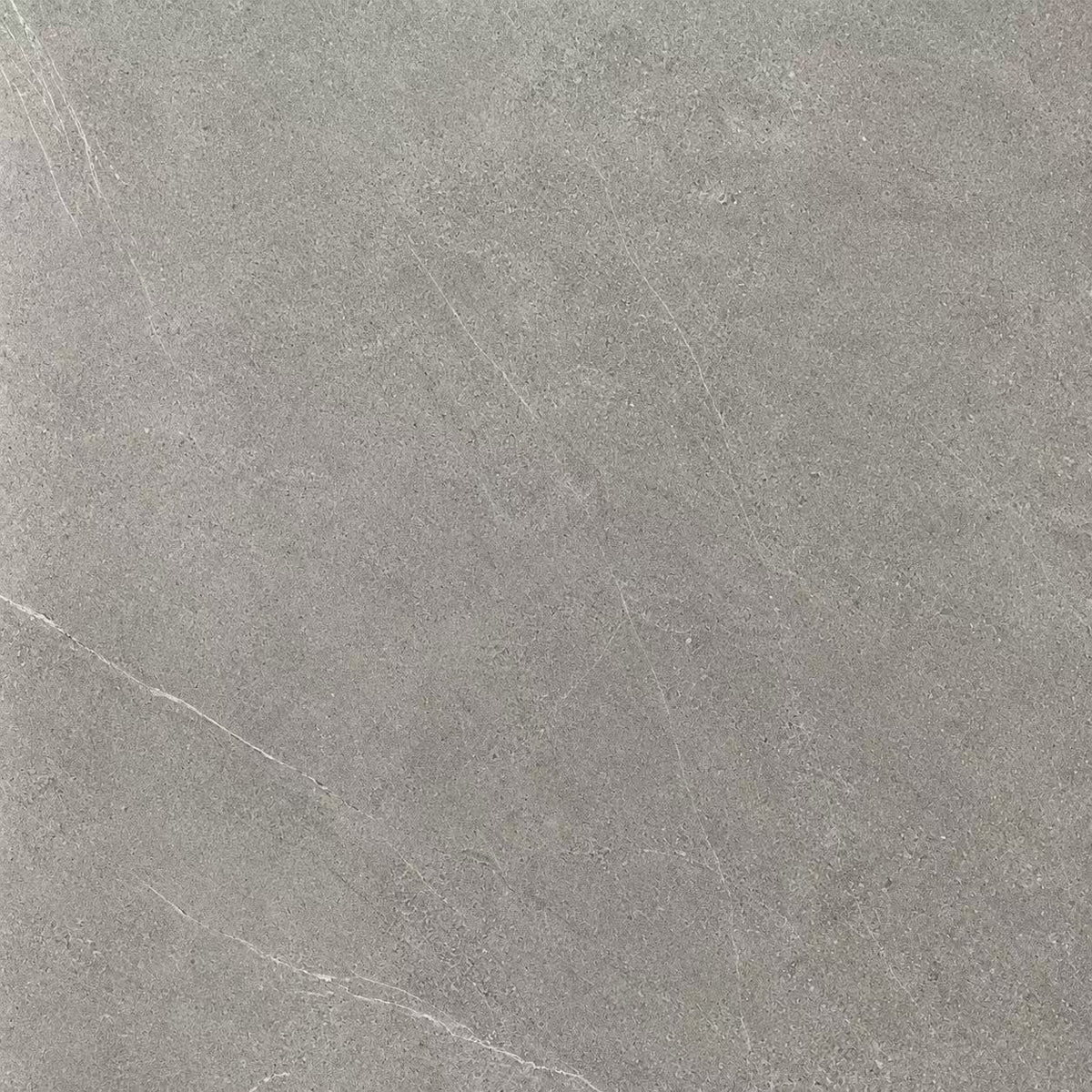 LX6639 - 24"x24" New Luxor Grey/Price Per SF(Special Order）