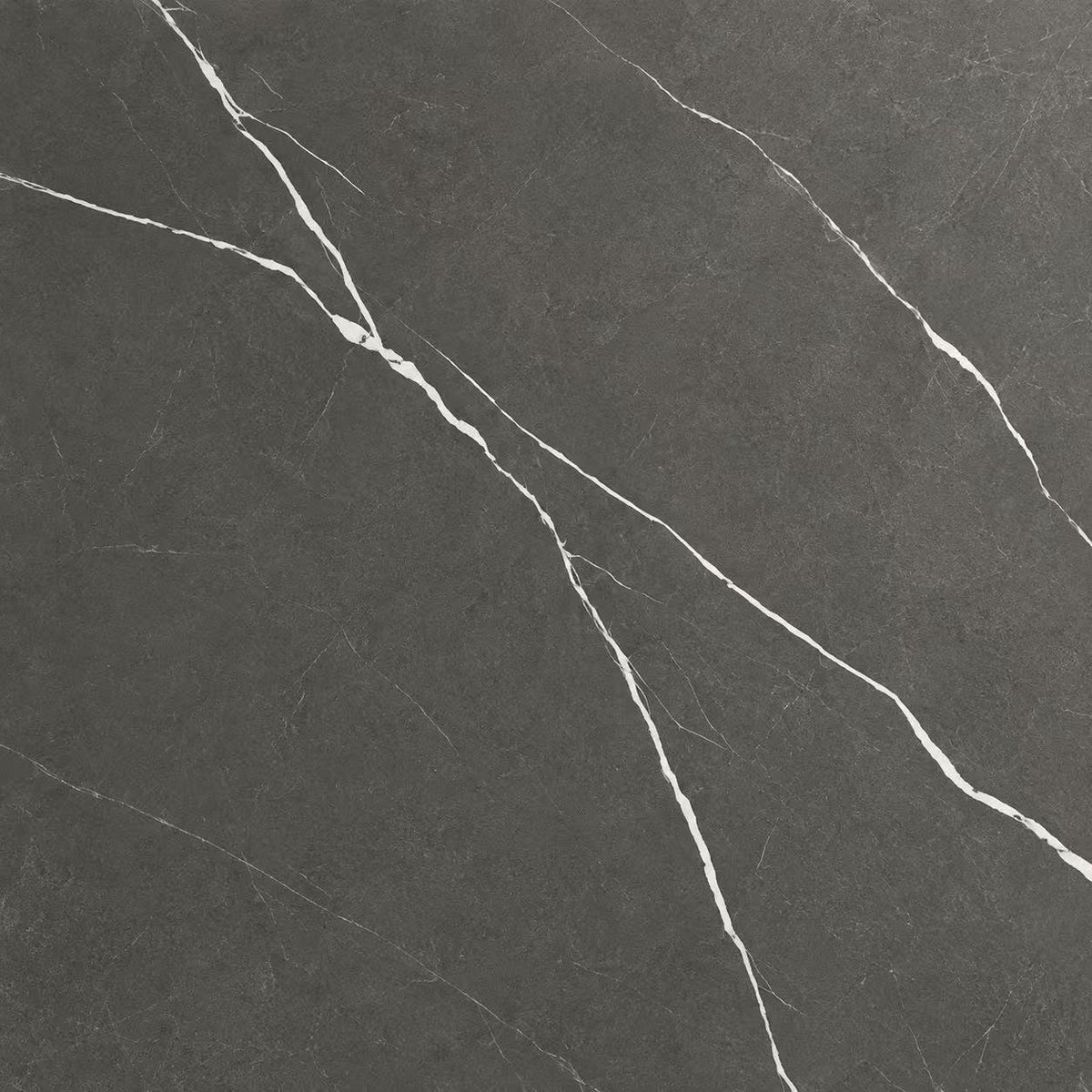 TE65628R 24X24 " CAMELIA DARK Tile/Price per SF