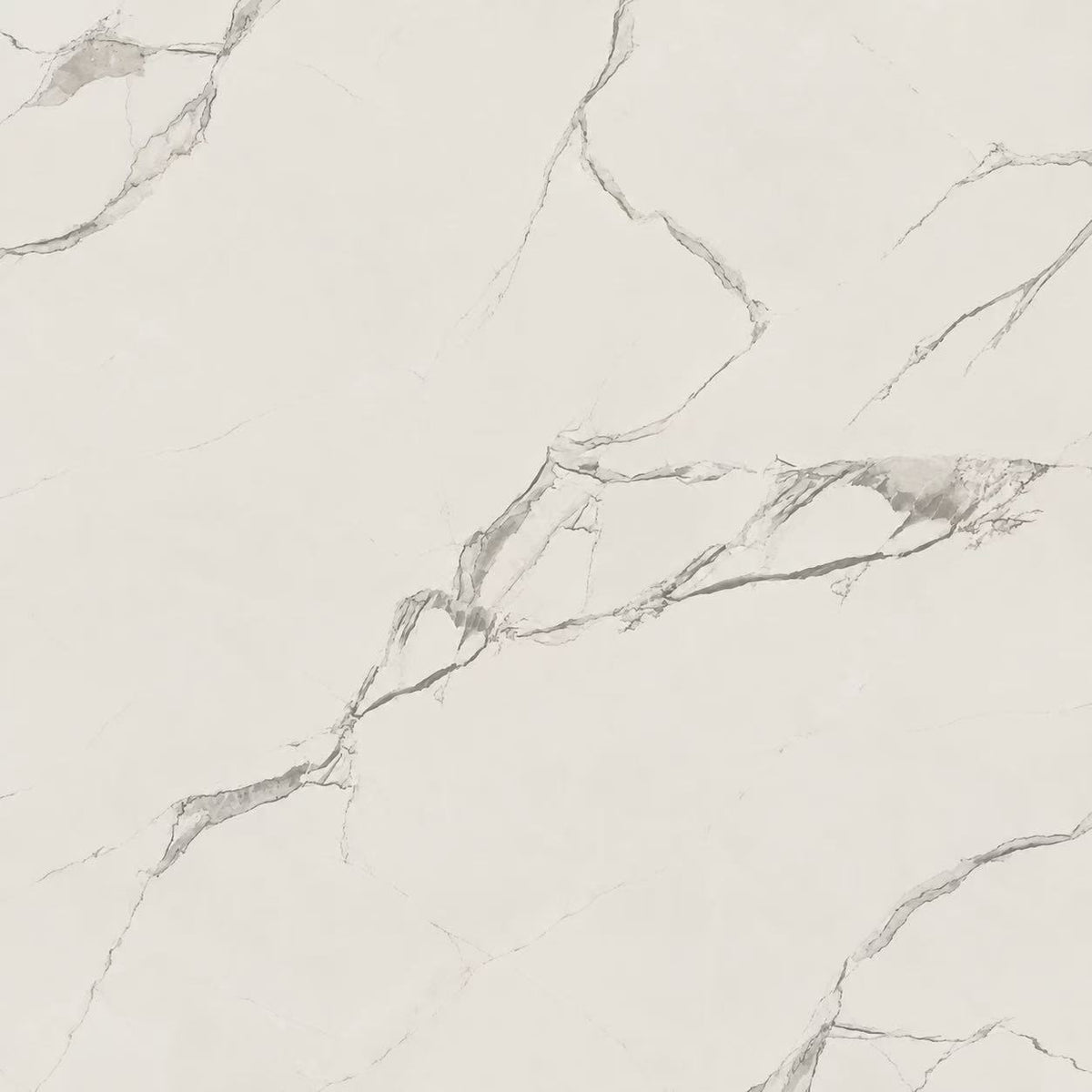 24''X24'' 272424002 ALCORA BIANCO MATTE TILE/Price Per SF