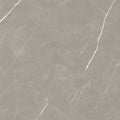 24"x24"-Tile-TE65622R camellia silver/Price per SF(Special Order)