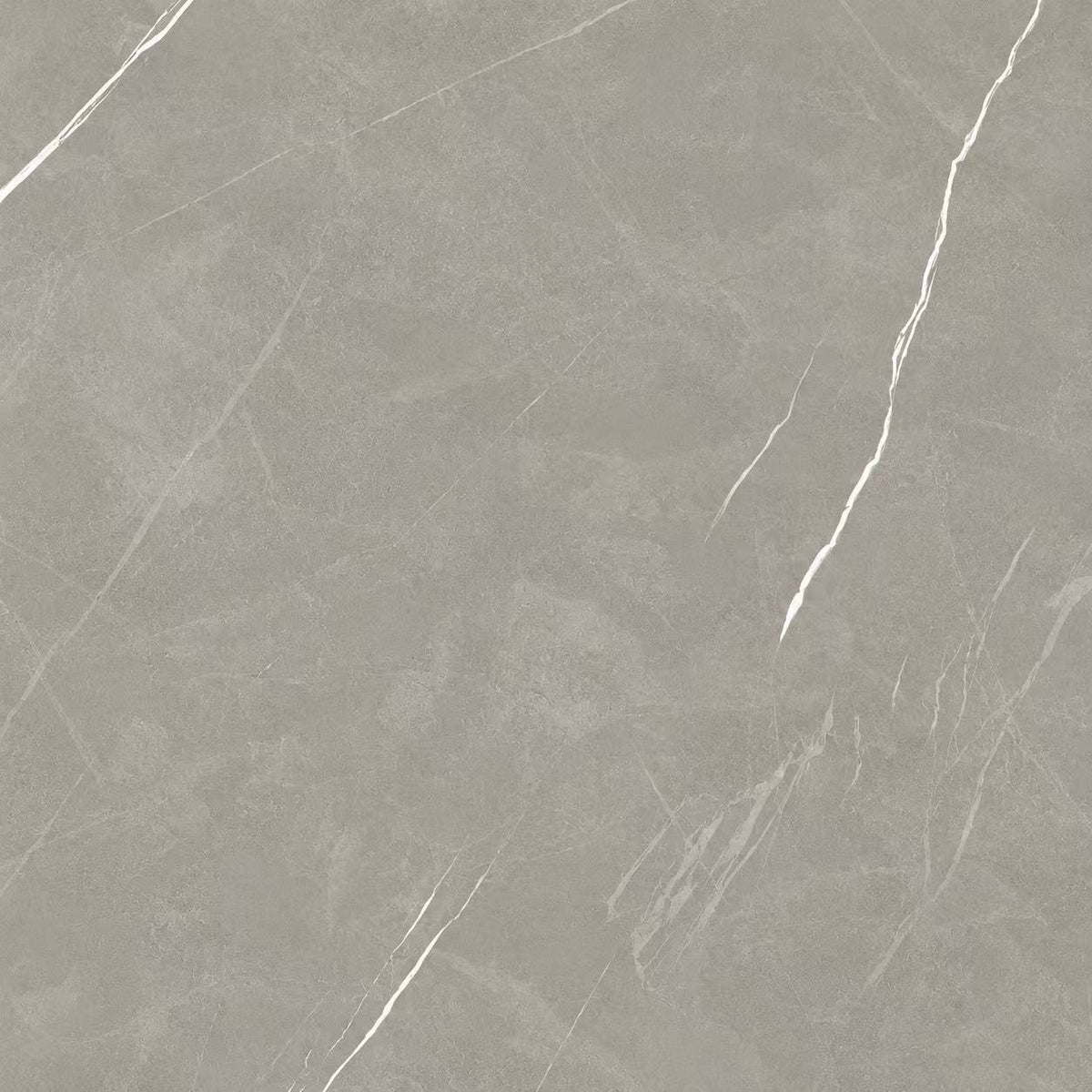 24"x24"-Tile-TE65622R camellia silver/Price per SF(Special Order)